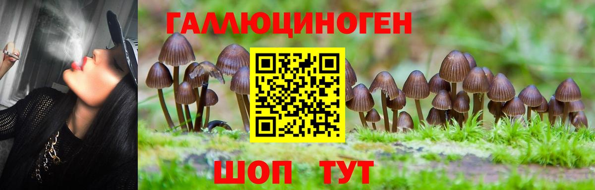 Псилоцибиновые грибы ЛСД Куйбышев